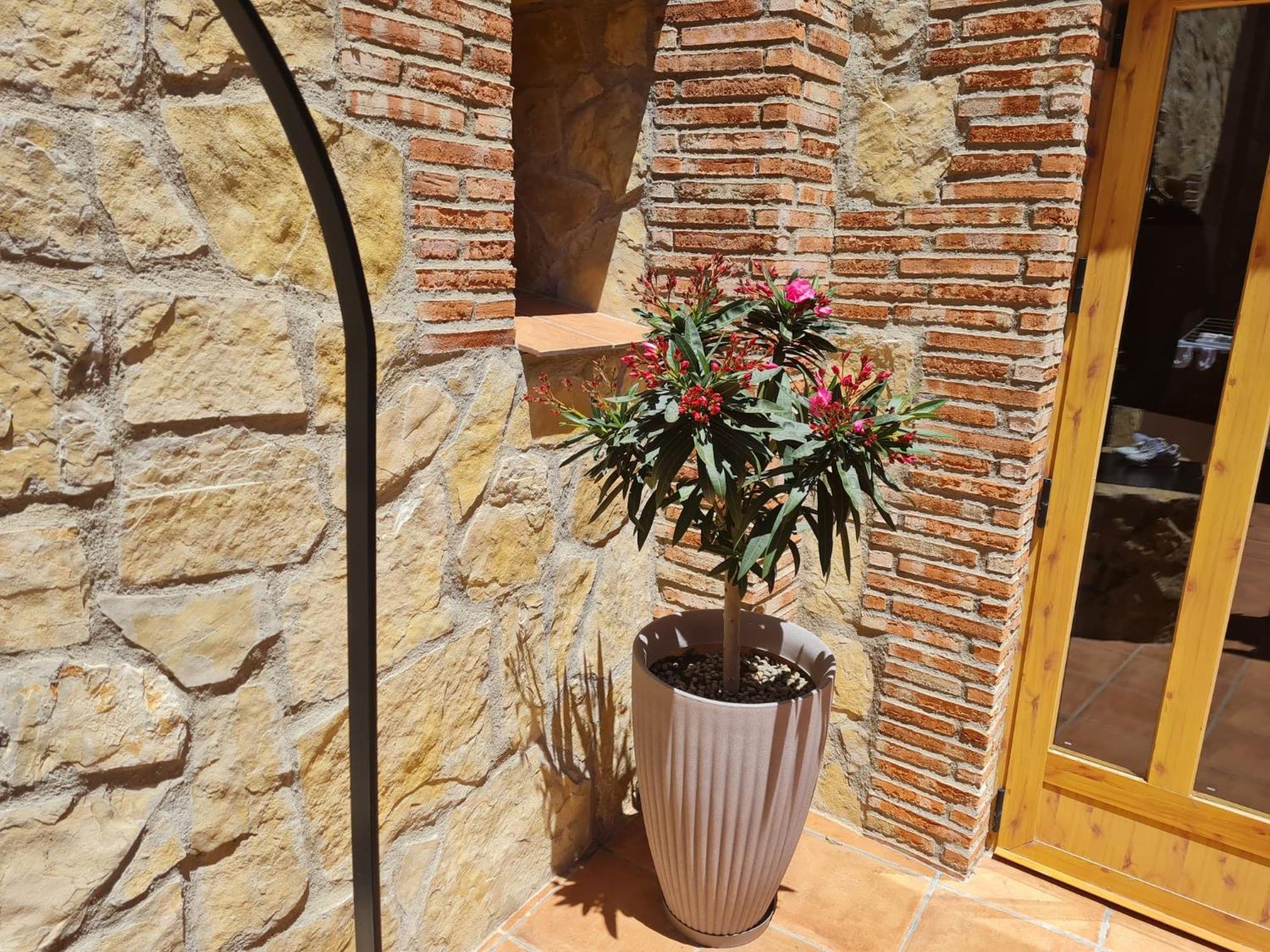 Casa Rural Del Pantano 4 Estrellas Buenache de Alarcon Exterior foto